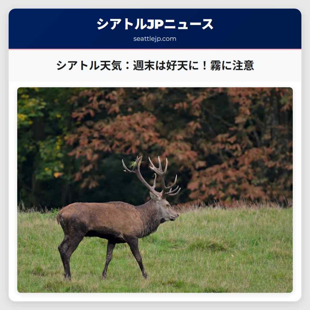 シアトル天気：週末は好天に！霧に注意