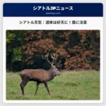 シアトル天気：霧と晴れ、週末は好天に