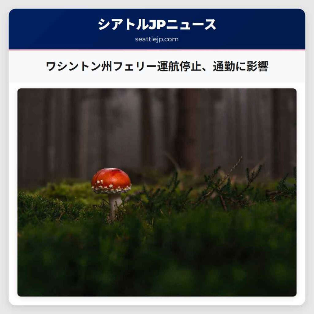 ワシントン州フェリー運航停止、通勤に影響