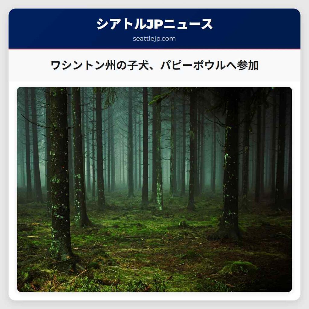 ワシントン州の子犬、パピーボウルへ参加
