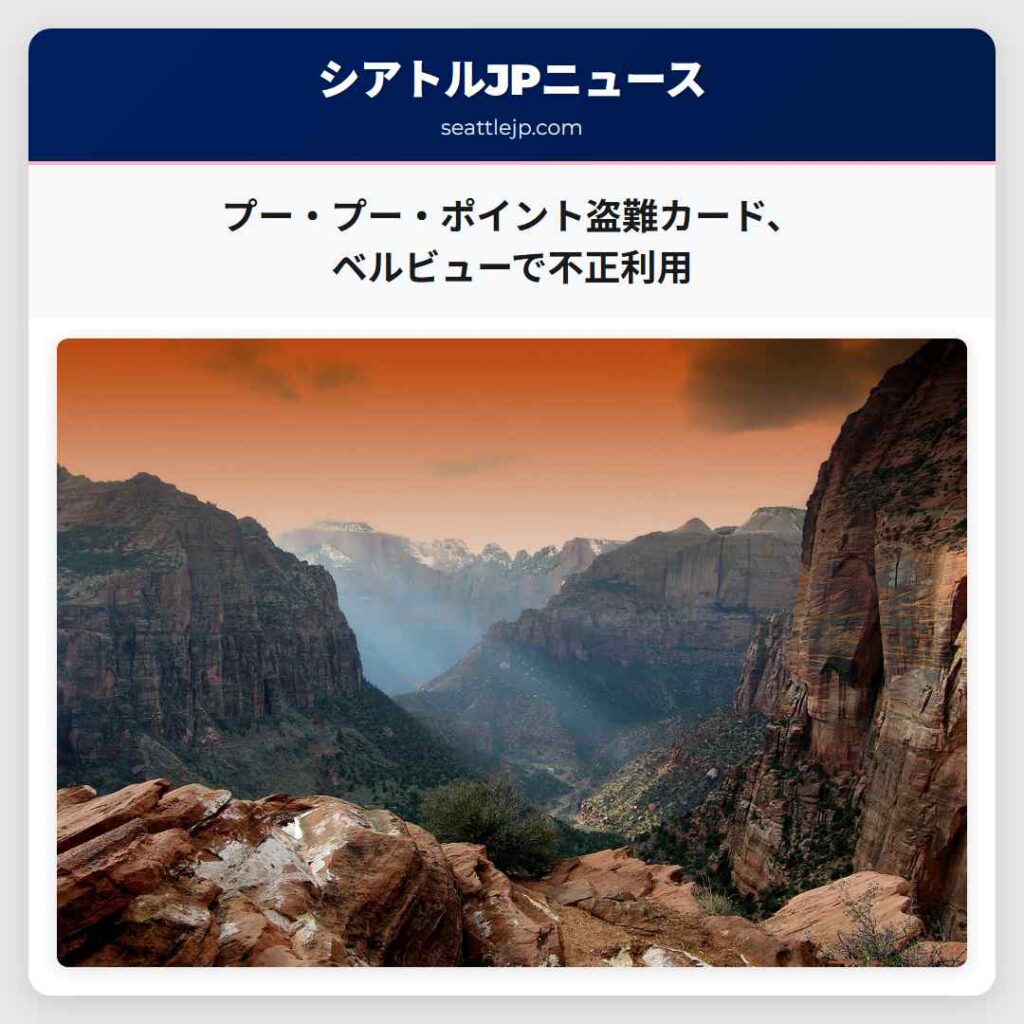 プー・プー・ポイント盗難カード、ベルビューで不正利用
