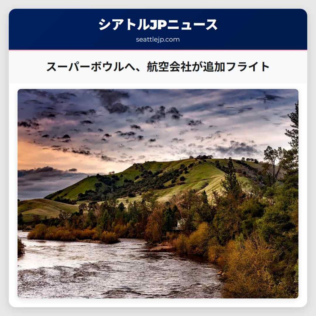 スーパーボウルへ、航空会社が追加フライト