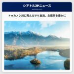トゥカノン川に1500匹以上の死んだサケ放流、生態系への栄養補給に