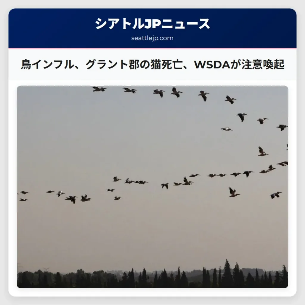 鳥インフル、グラント郡の猫死亡、WSDAが注意喚起