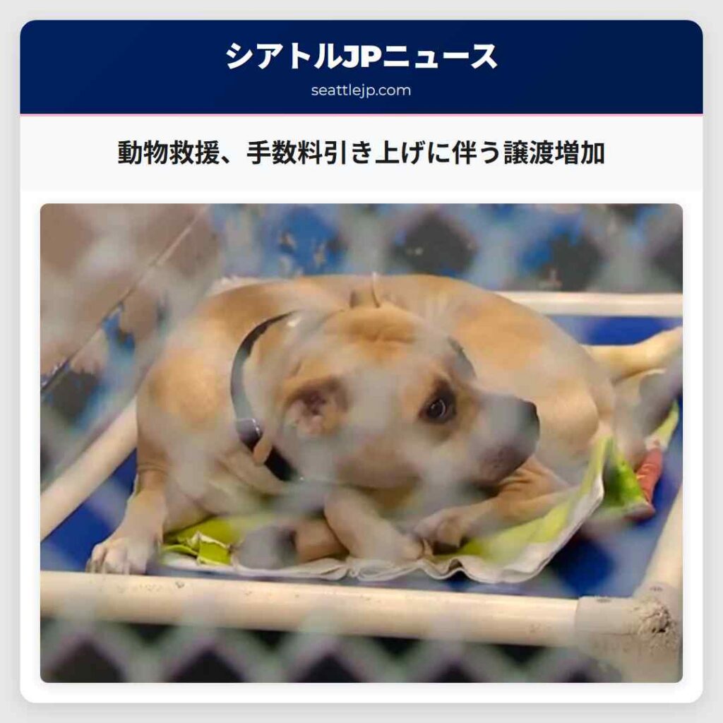 動物救援、手数料引き上げに伴う譲渡増加
