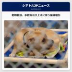 Pierce Countyの動物救援が、人道救急隊の手数料引き上げに伴うペット譲渡増加を経験