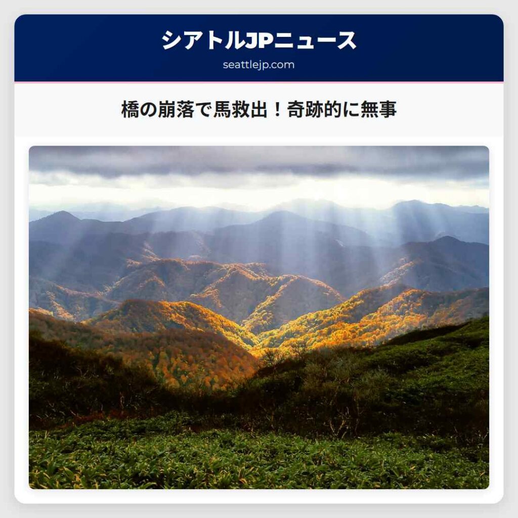 橋の崩落で馬救出！奇跡的に無事