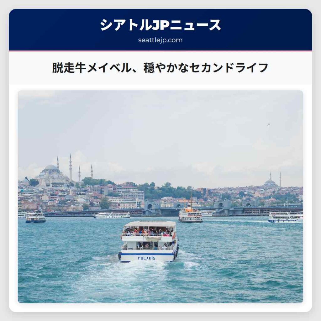 脱走牛メイベル、穏やかなセカンドライフ