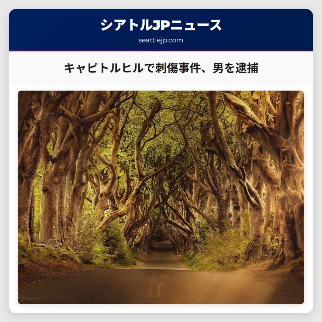 キャピトルヒルで刺傷事件、男を逮捕
