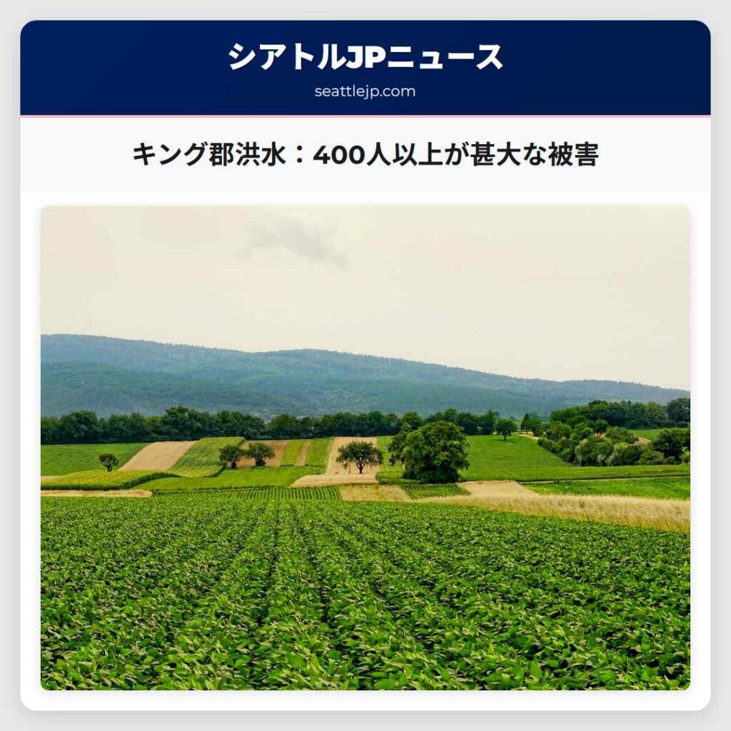 キング郡洪水：400人以上が甚大な被害
