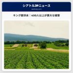 キング郡、洪水被害状況を発表：400人以上が甚大な被害報告