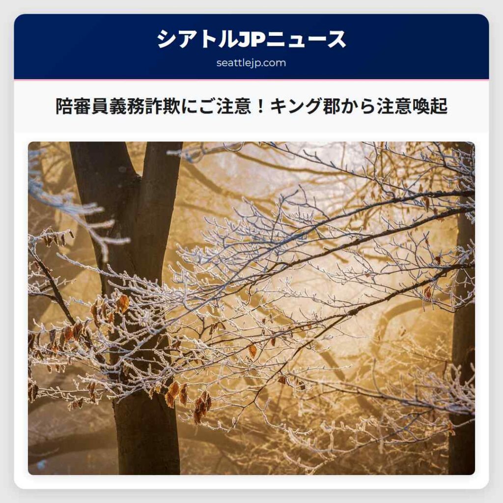 陪審員義務詐欺にご注意！キング郡から注意喚起