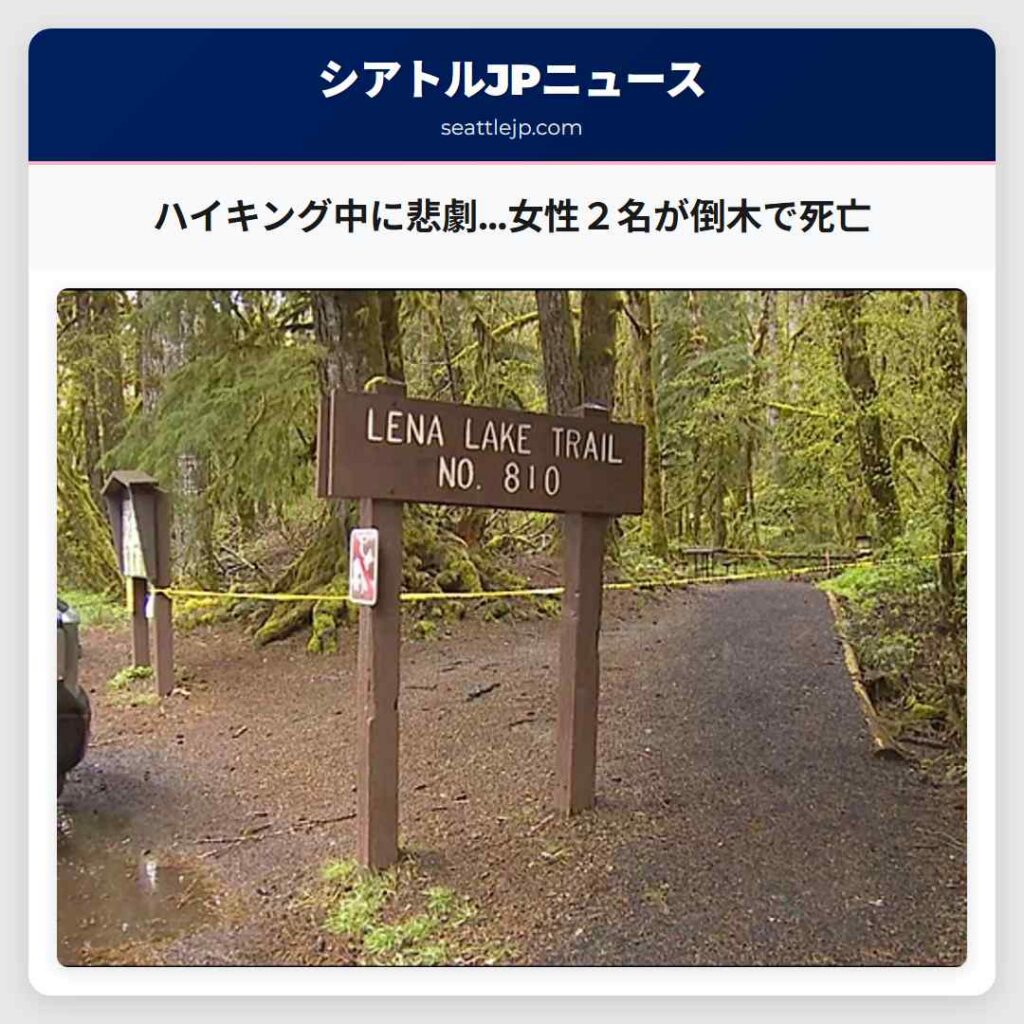 シアトルニュース 6 ハイキング中に悲劇…女性2名が倒木で死亡