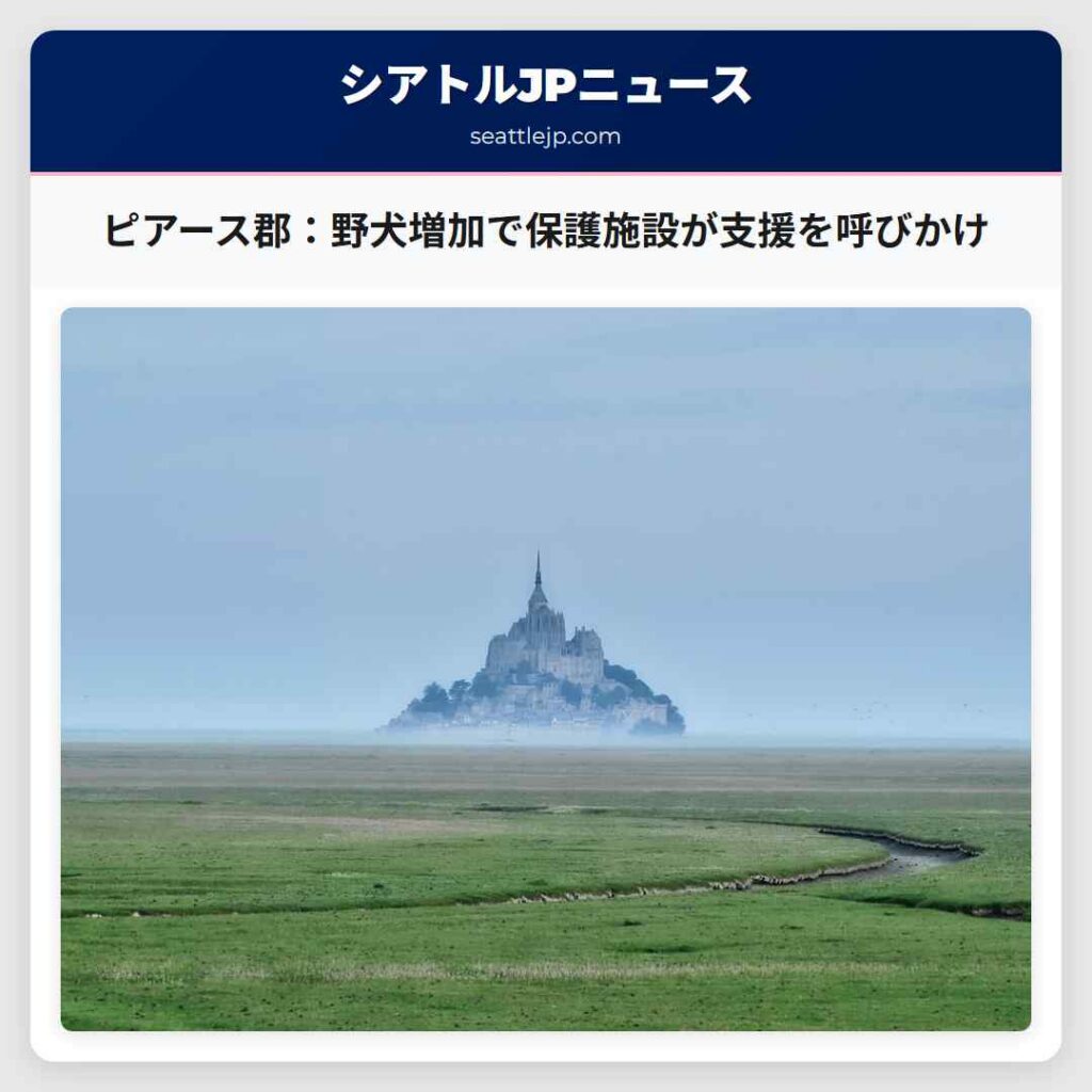 ピアース郡：野犬増加で保護施設が支援を呼びかけ