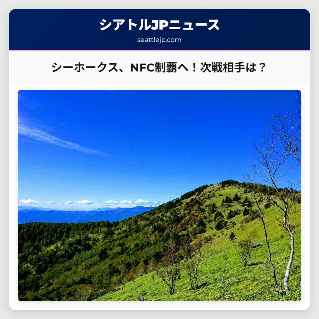 シーホークス、NFC制覇へ！次戦相手は？