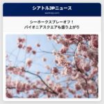 シアトル・シーホークスプレーオフ進出へ、パイオニアスクエアの企業が期待を胸に