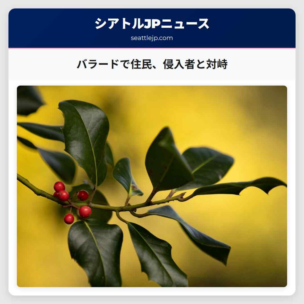 バラードで住民、侵入者と対峙