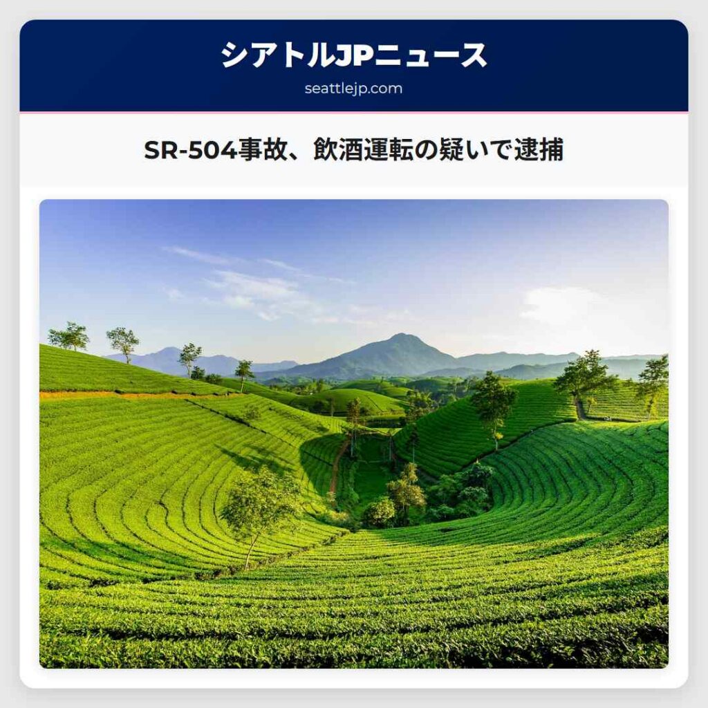 SR-504事故、飲酒運転の疑いで逮捕