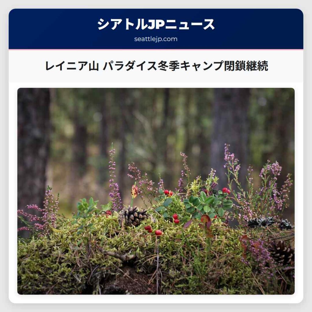 レイニア山 パラダイス冬季キャンプ閉鎖継続