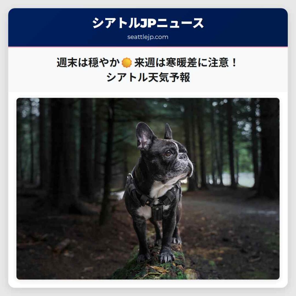 週末は穏やか☀️来週は寒暖差に注意！シアトル天気予報