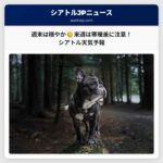 シアトル天気：週末は穏やか、来週末以降は寒暖差に注意