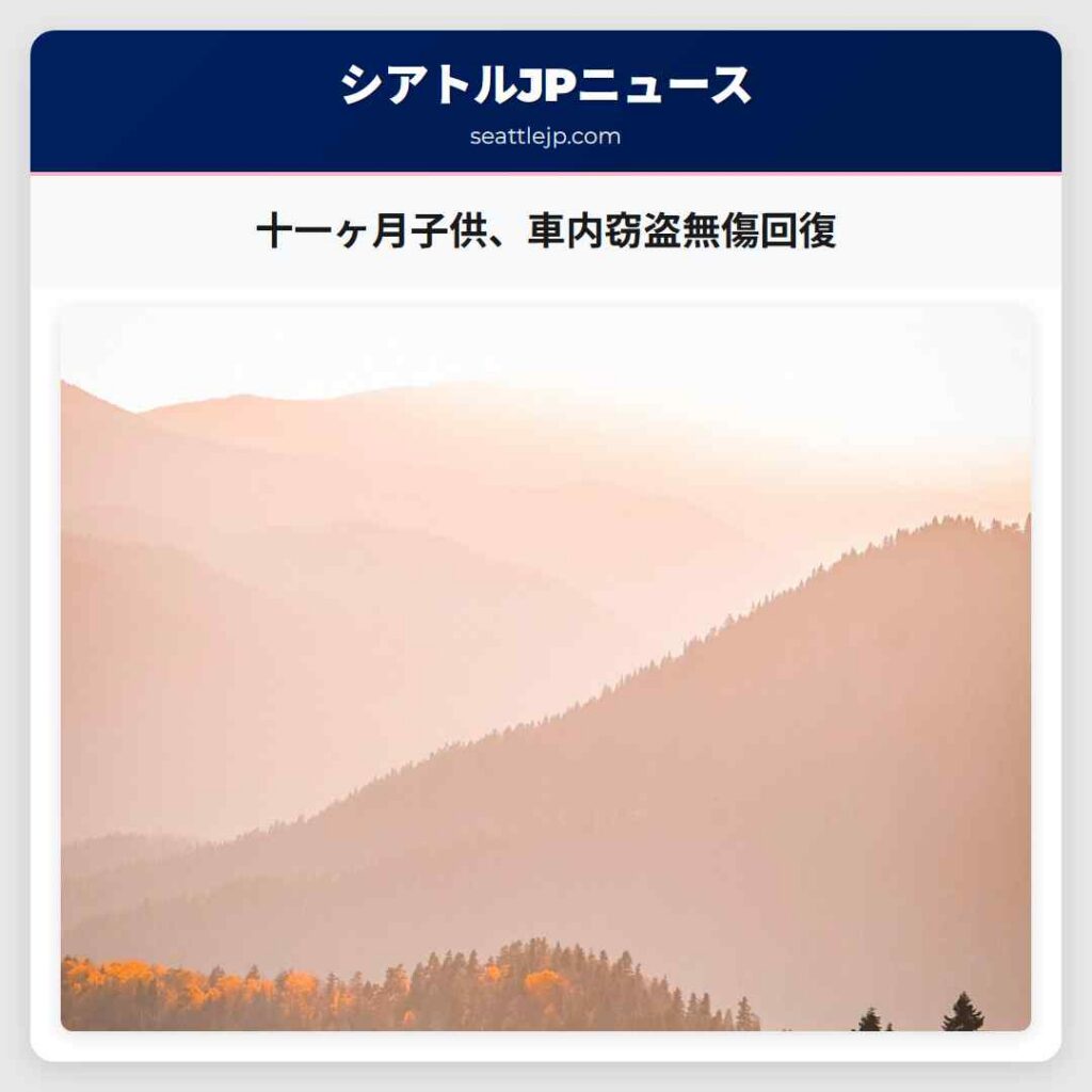 十一ヶ月子供、車内窃盗無傷回復