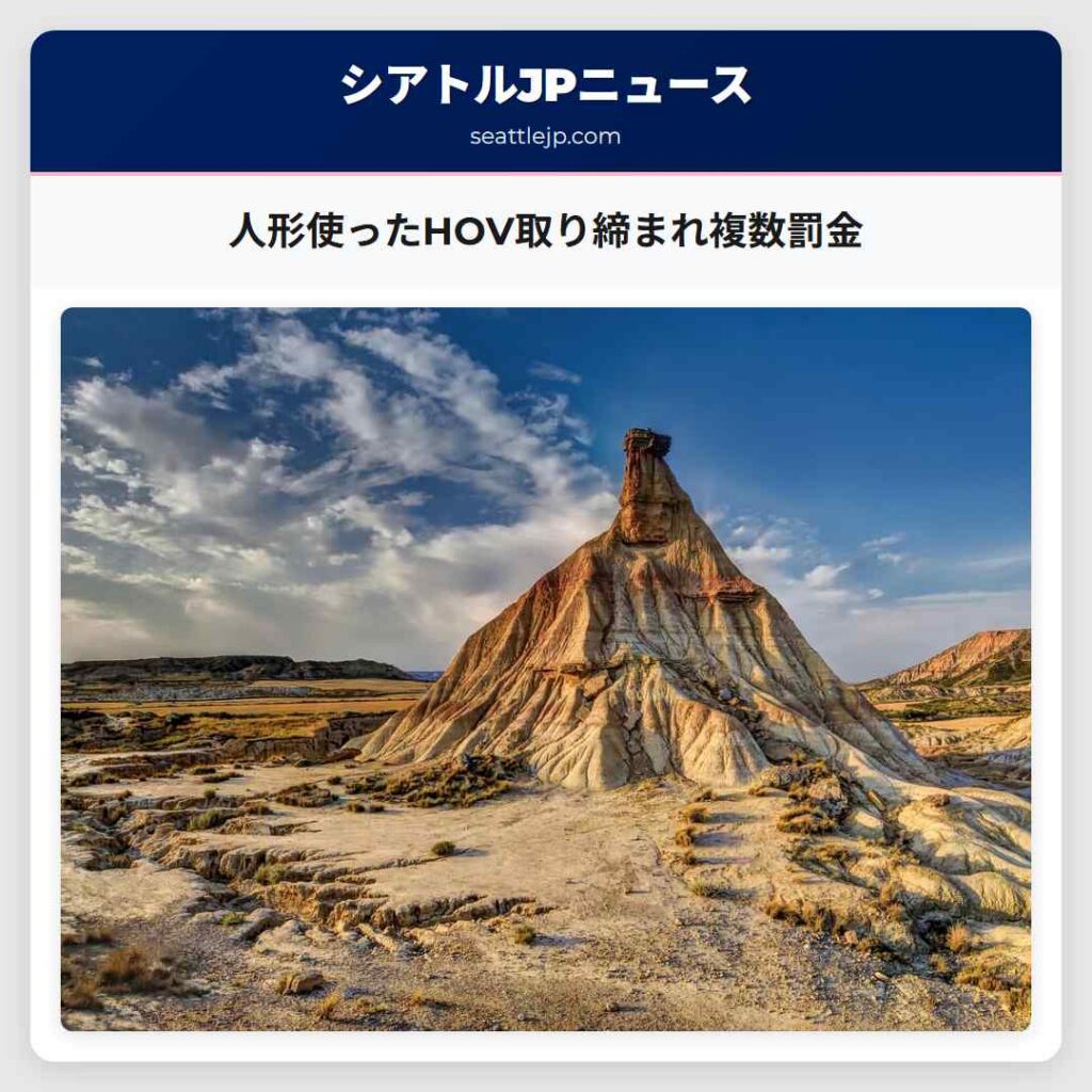 人形使ったHOV取り締まれ複数罰金