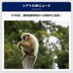 子犬6匹、フェンタニル過剰摂取の疑いから回復