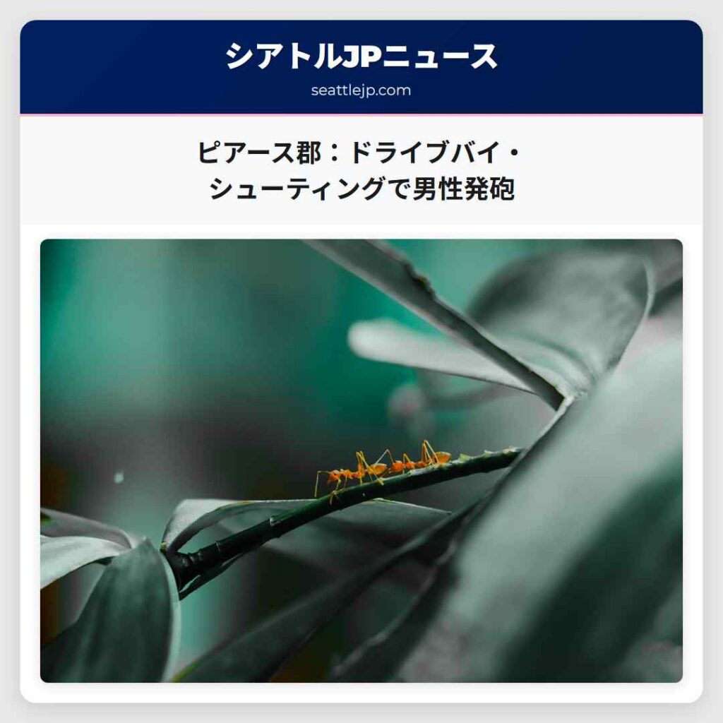 Home 1 ピアース郡:ドライブバイ・シューティングで男性発砲