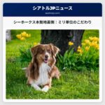 舞台裏の地味な仕事：シアトル・シーホークス、NFCチャンピオンシップゲームに向けてルーメン・フィールドを準備