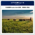 カークランド高校の生徒たちが起草したPurple Alert法案、州議会に提出