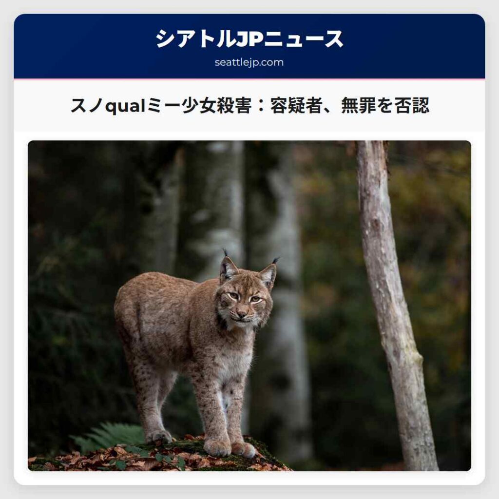 スノqualミー少女殺害：容疑者、無罪を否認