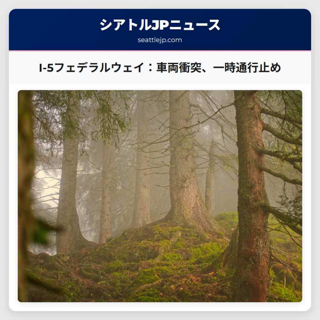 I-5フェデラルウェイ：車両衝突、一時通行止め