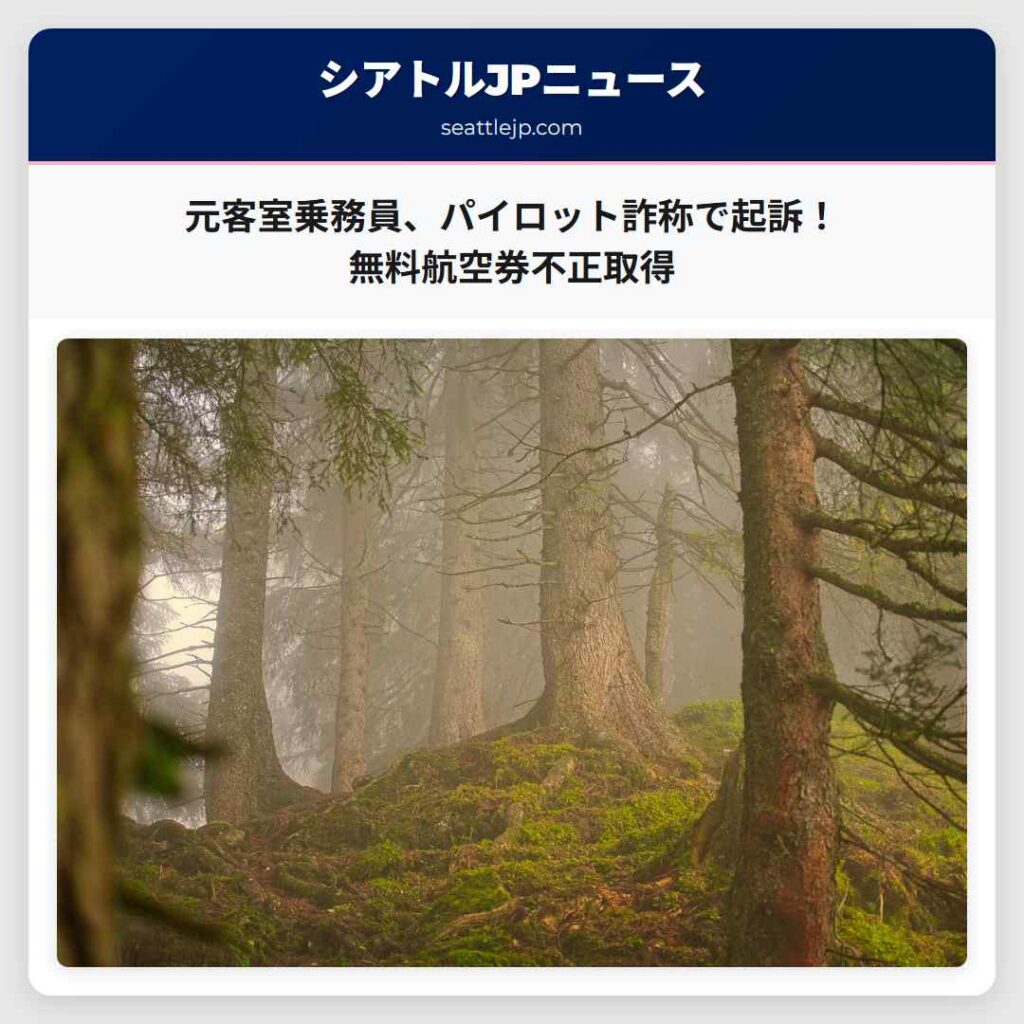 元客室乗務員、パイロット詐称で起訴！無料航空券不正取得