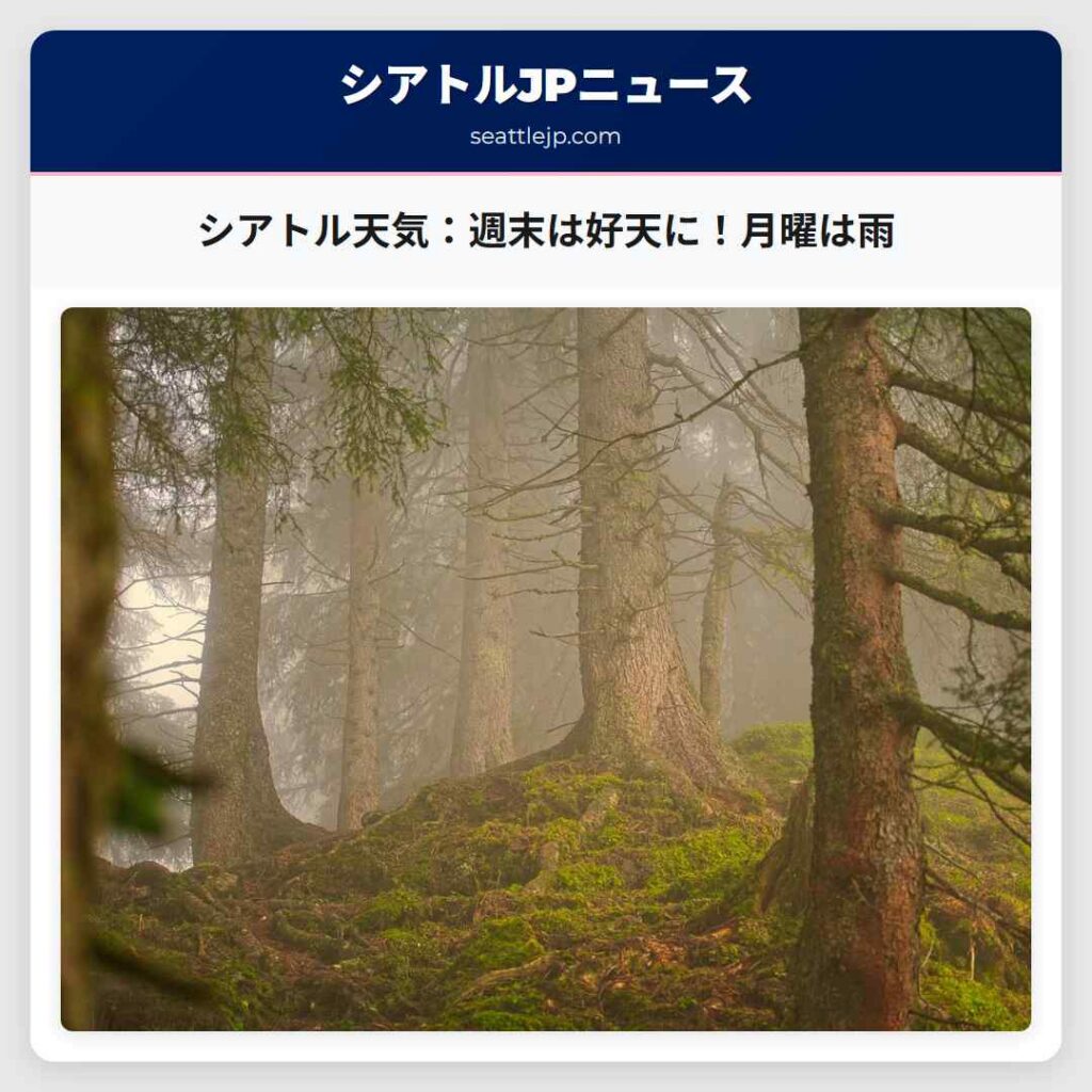 シアトル天気：週末は好天に！月曜は雨
