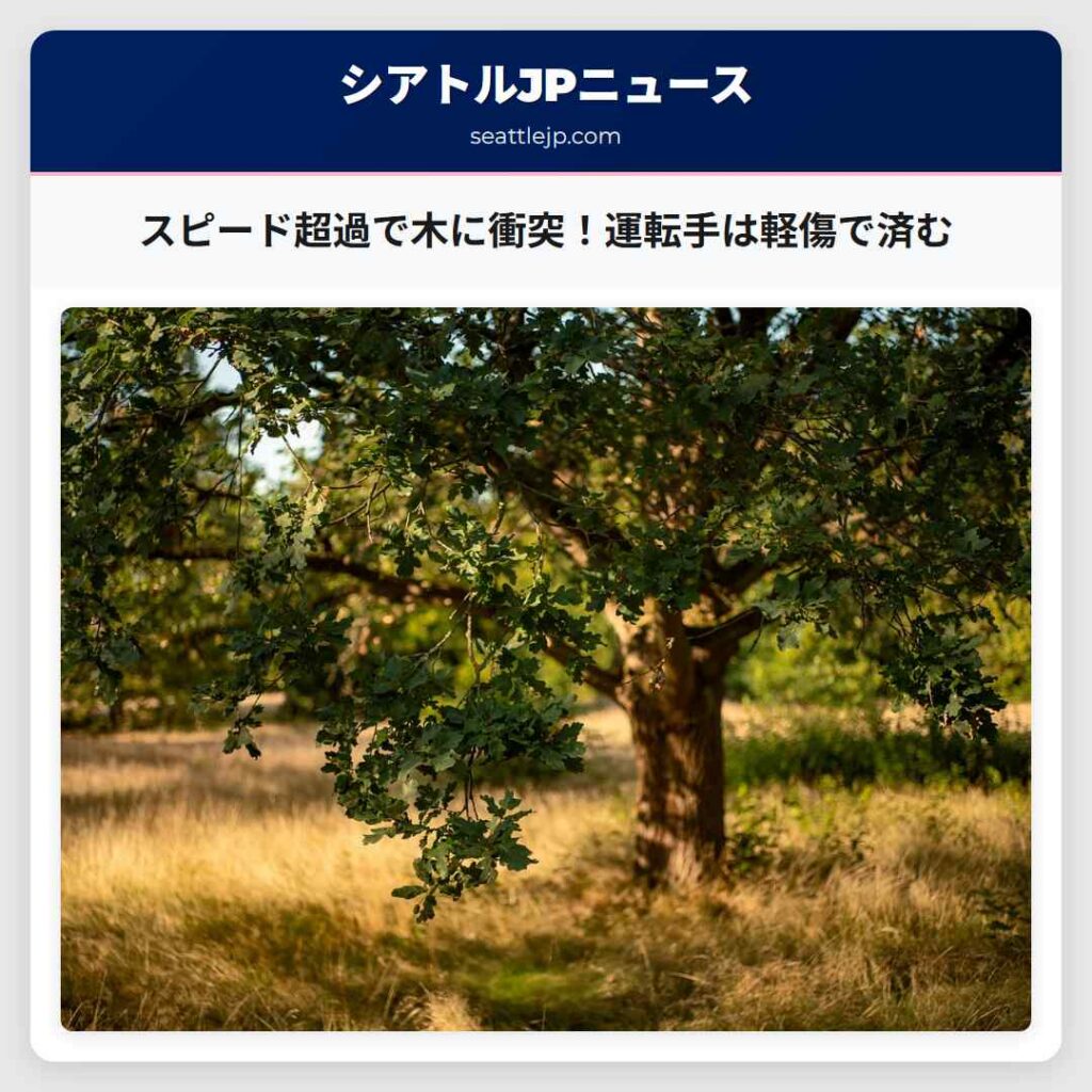 スピード超過で木に衝突！運転手は軽傷で済む