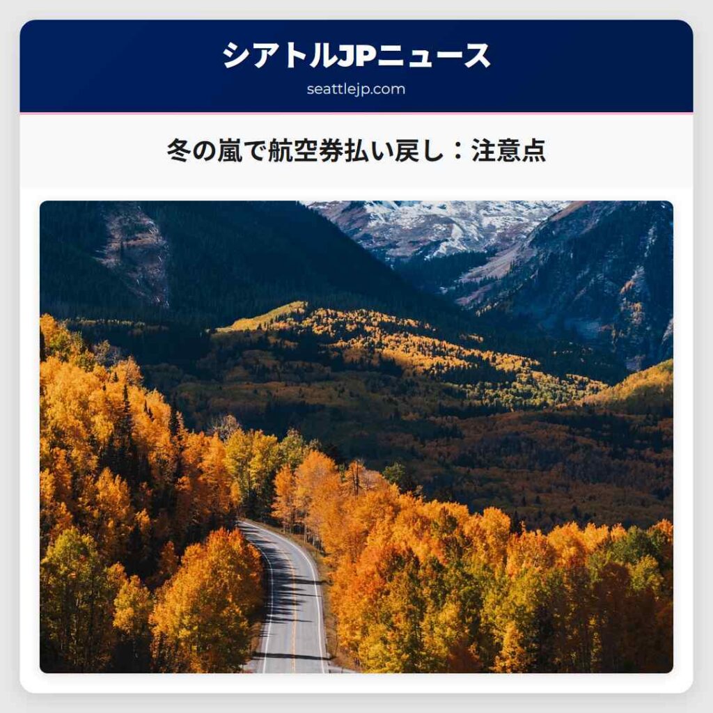 冬の嵐で航空券払い戻し：注意点