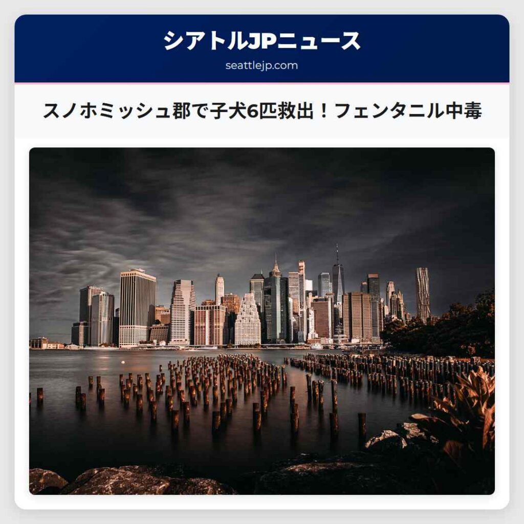 スノホミッシュ郡で子犬6匹救出！フェンタニル中毒