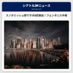 スノホミッシュ郡で子犬6匹、フェンタニル中毒症状からの回復