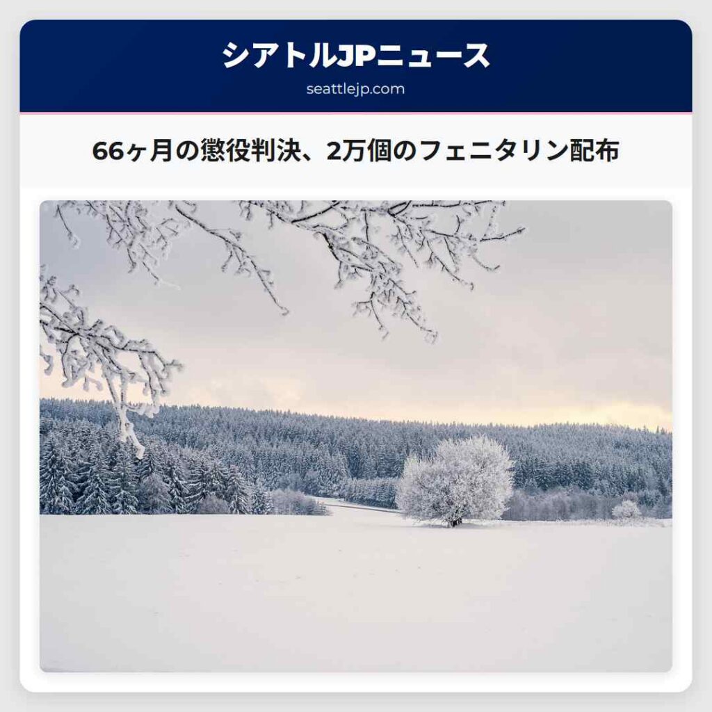 66ヶ月の懲役判決、2万個のフェニタリン配布
