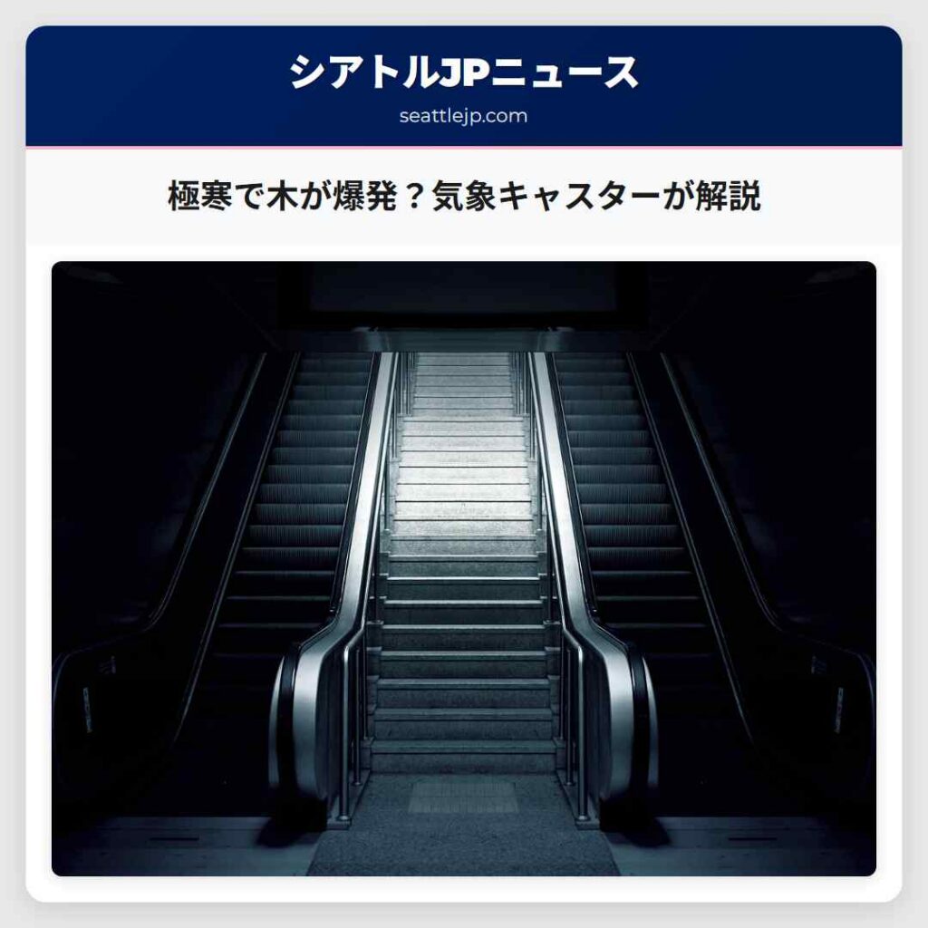 極寒で木が爆発？気象キャスターが解説
