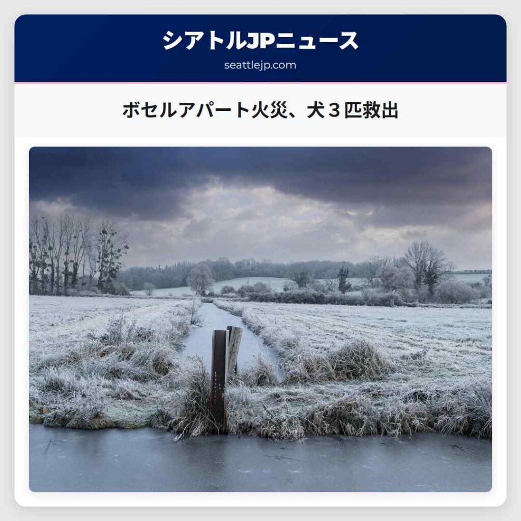ボセルアパート火災、犬３匹救出
