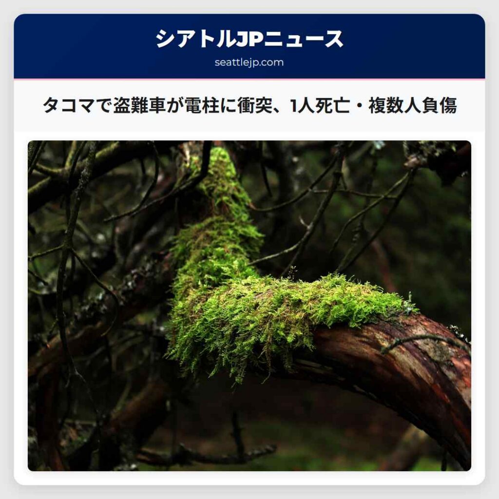 タコマで盗難車が電柱に衝突、1人死亡・複数人負傷