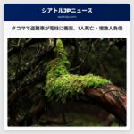 盗難車が電柱に衝突、運転手含む複数人負傷　ワシントン州タコマ