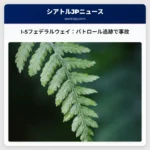 ワシントン州パトロールの追跡、フェデラルウェイのI-5北行きで事故発生