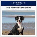 元ボセル市議会議員、20歳女性パートナー殺害事件で過失致死罪を認める