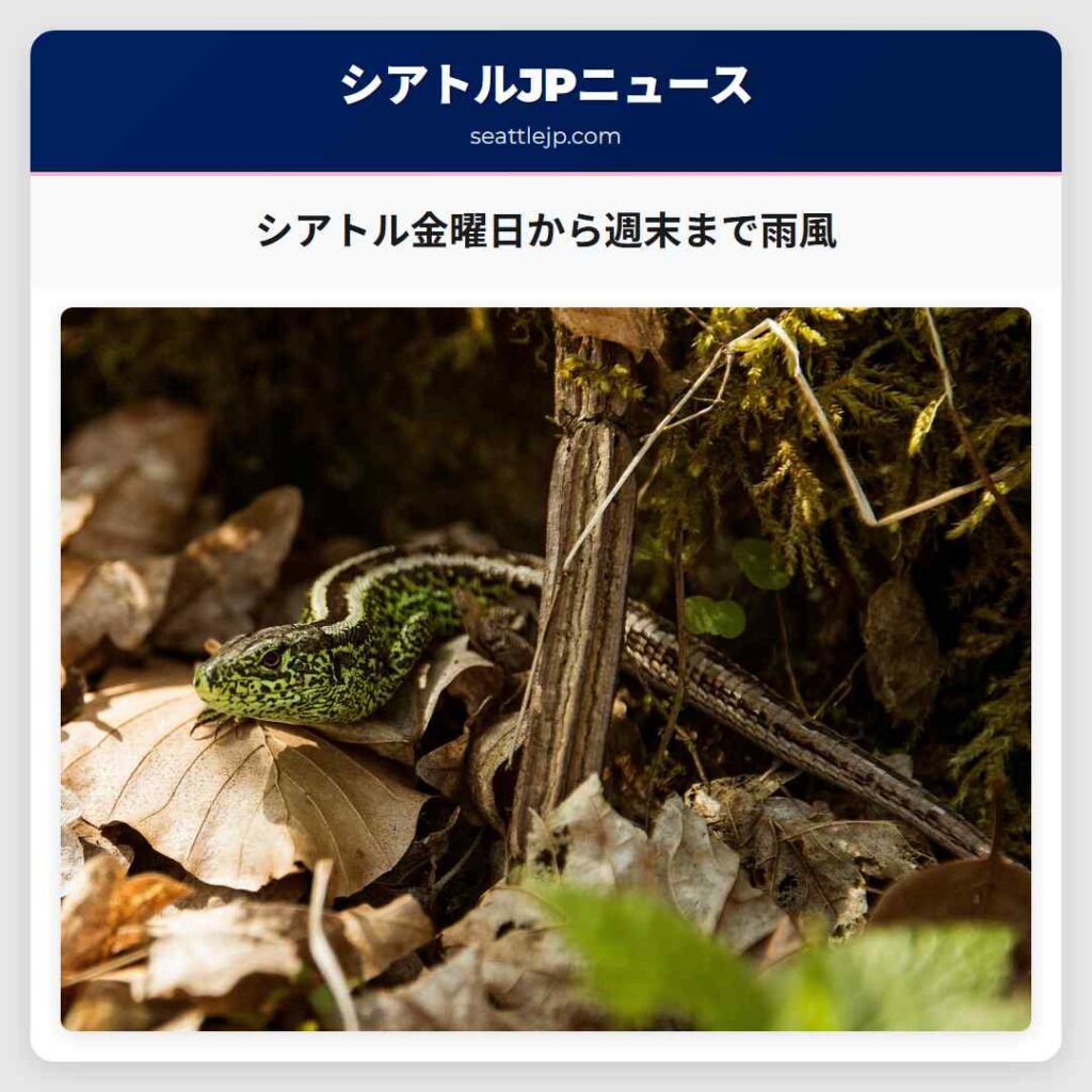シアトル金曜日から週末まで雨風