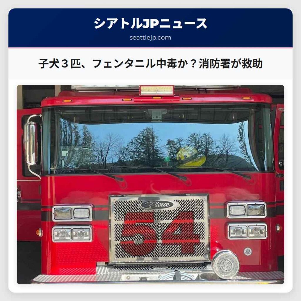 子犬３匹、フェンタニル中毒か？消防署が救助
