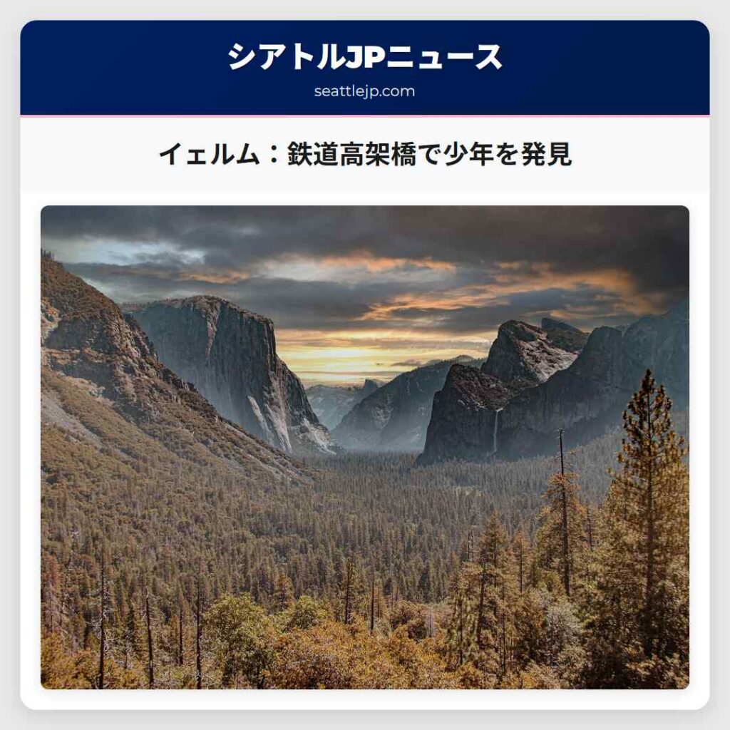イェルム：鉄道高架橋で少年を発見