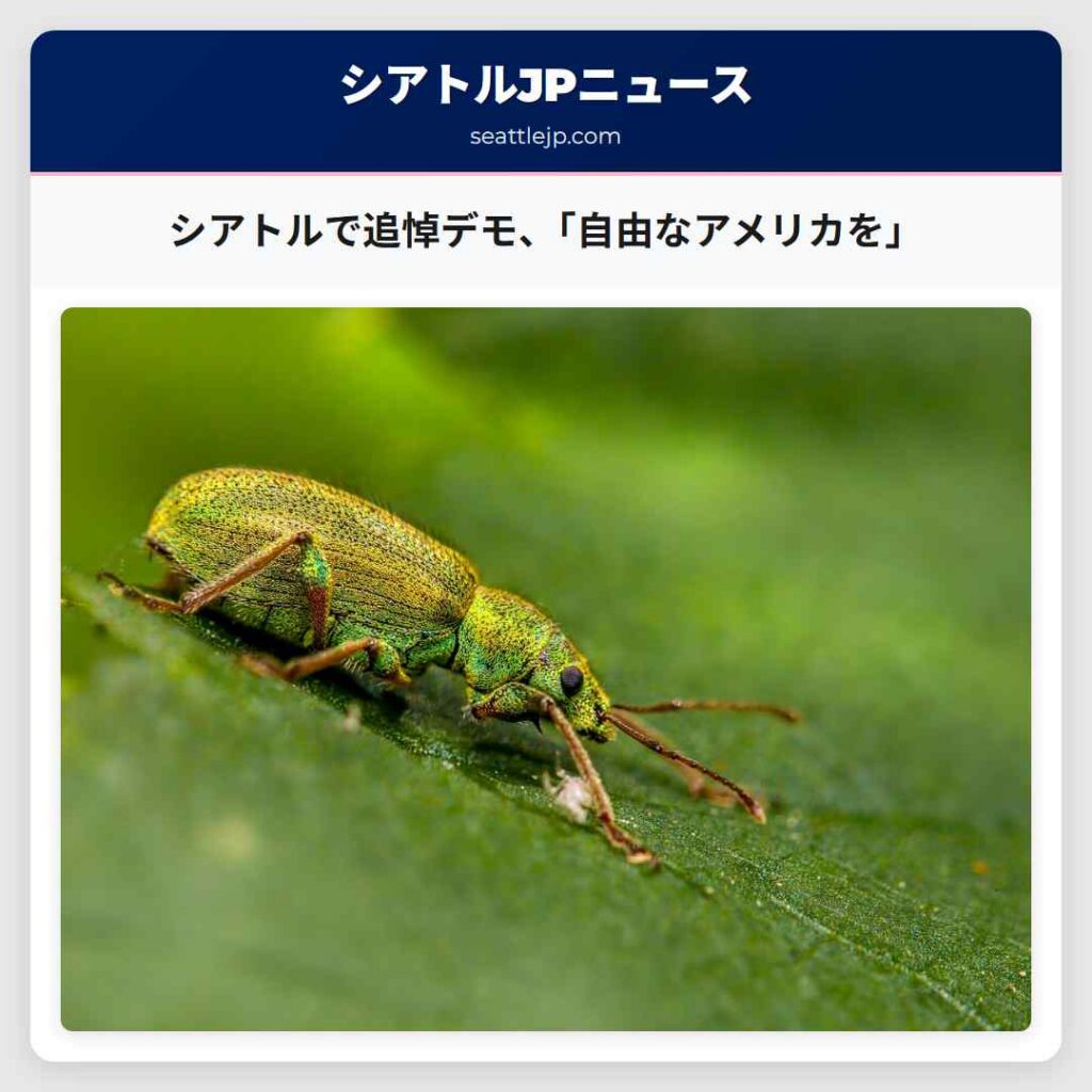 シアトルで追悼デモ、「自由なアメリカを」
